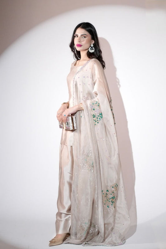 Elegant Champagnev
