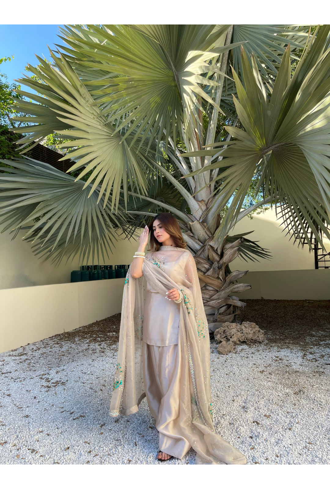 EMBELLISHED DUPATTA