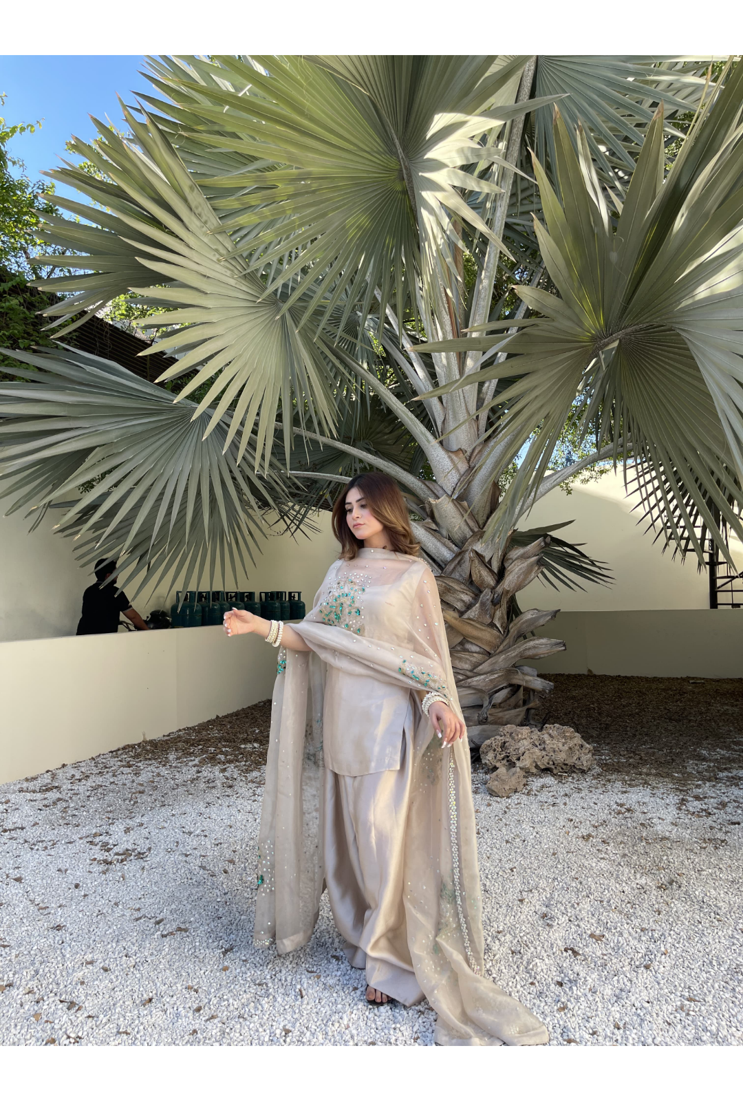 EMBELLISHED DUPATTA